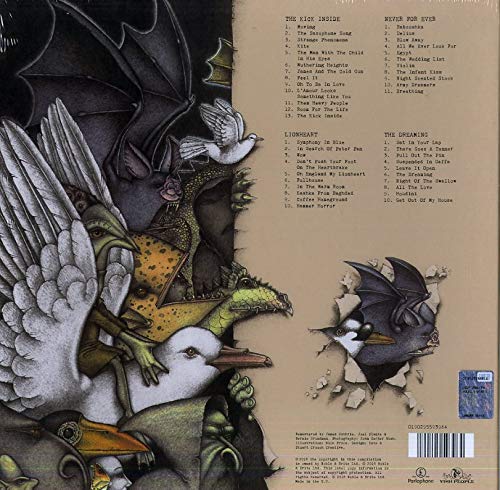 Bush, Kate/Vinyl 1 Box (4LP)