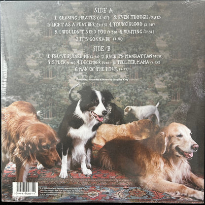 [Used LP] Jones, Norah / The Fall