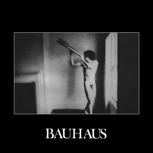 Bauhaus/In the Flat Field [CD]