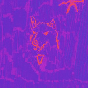 Dehd/Poetry [CD]