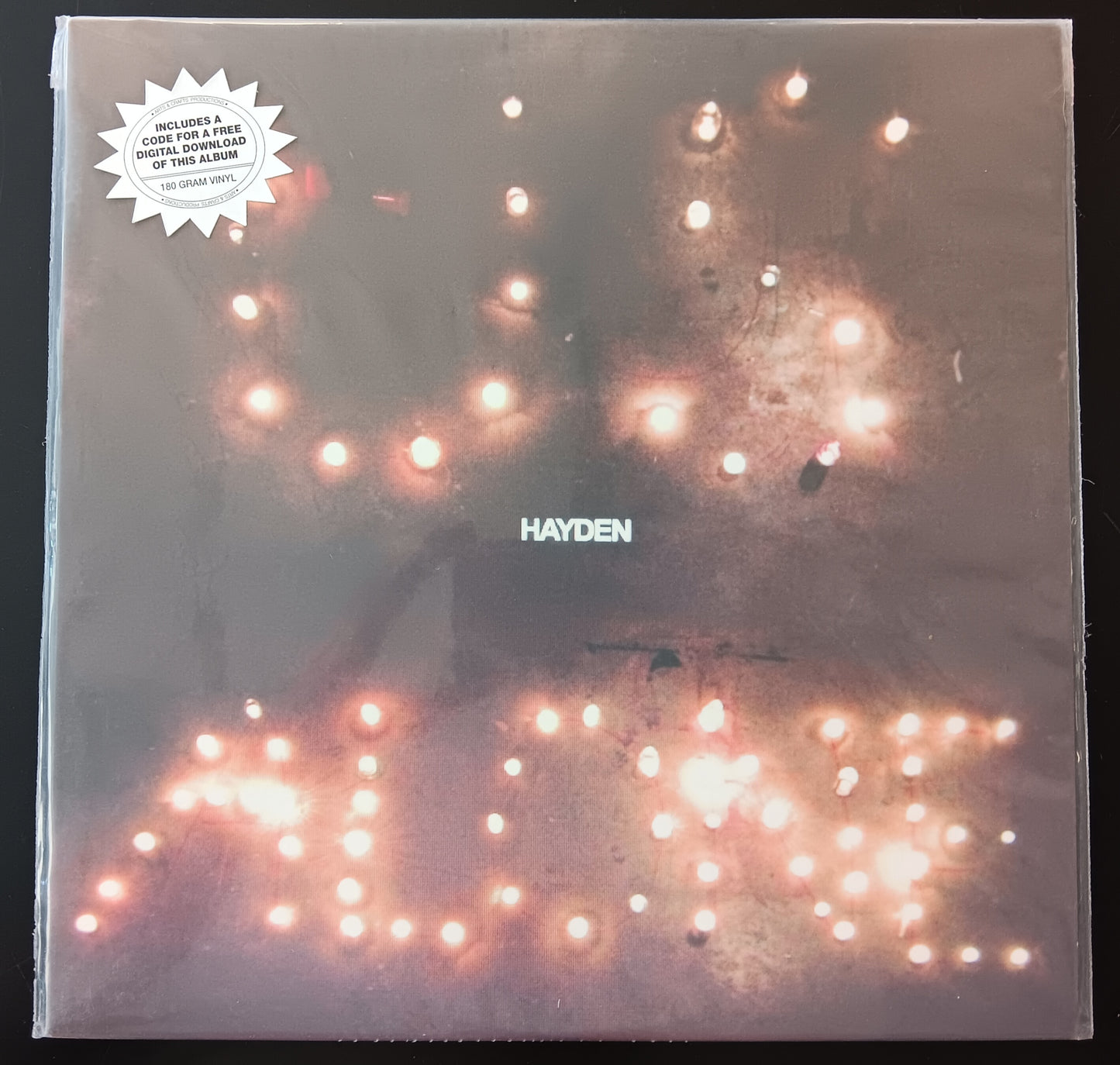 [Used LP] Hayden / Us Alone