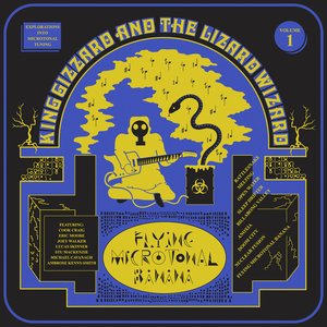 King Gizzard & The Lizard Wizard/Flying Microtonal Banana [CD]