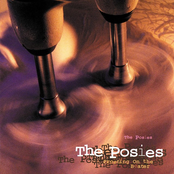Posies, The/Frosting On The Beater [LP]