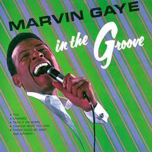 Gaye, Marvin/In The Groove [LP]