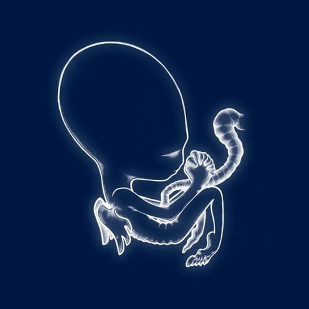 Sigur Ros/Agaetis Byrjun [LP]