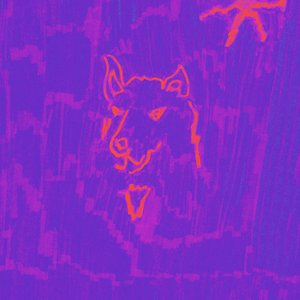 Dehd/Poetry (Plutonium Colour Vinyl) [LP]