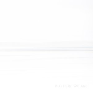 Foo Fighters/But Here We Are [LP]