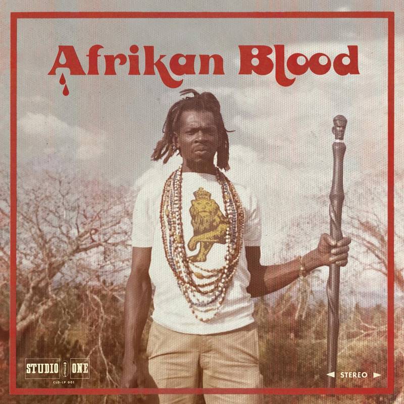 Various Artists/Afrikan Blood [LP]