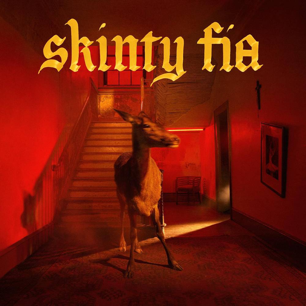 Fontaines D.C./Skinty Fia [Vinyl]