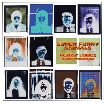 Super Furry Animals/Fuzzy Logic: B-Sides & Besides [LP]