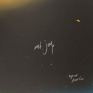 Mt. Joy/Hope We Have Fun [LP]