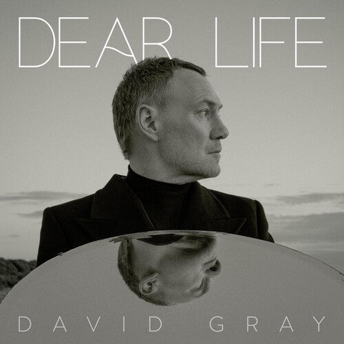 Gray, David/Dear Life (Black Vinyl) [LP]
