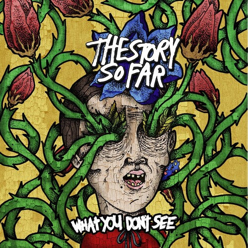 The Story So Far/What You Don'T See [LP]