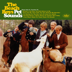 Beach Boys, The/Pet Sounds (Mono & Stereo) [CD]