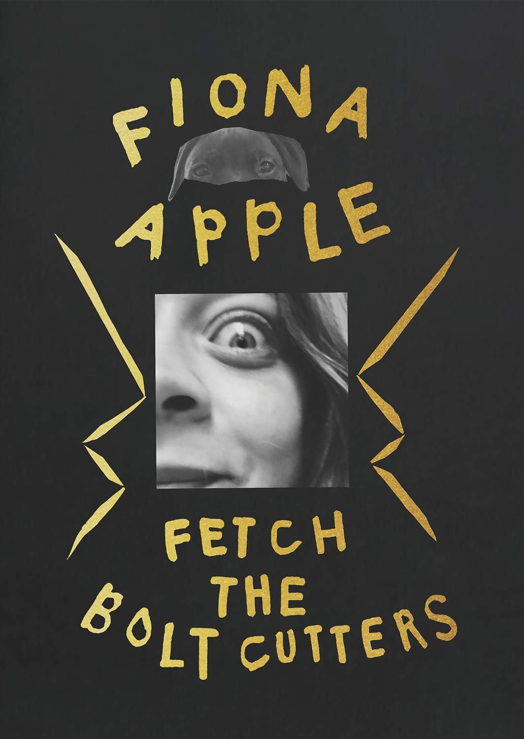 Apple, Fiona/Fetch The Bolt Cutters (Deluxe) [CD]