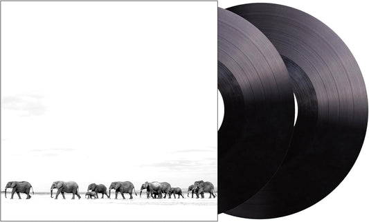 Dave Matthews Band/Where Are You Going: The Singles [LP]