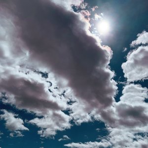 Kestrels/Better Wonder [CD]