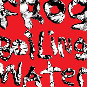 DIIV/Frog In Boiling Water [LP]