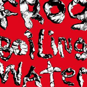 DIIV/Frog In Boiling Water [CD]