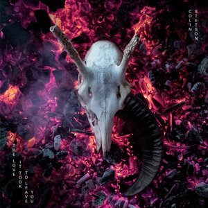 Stetson, Colin/The Love It Took To Leave You [LP]