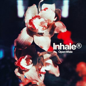 Inhaler/Open Wide (Indie Exclusive Clear Vinyl) [LP]