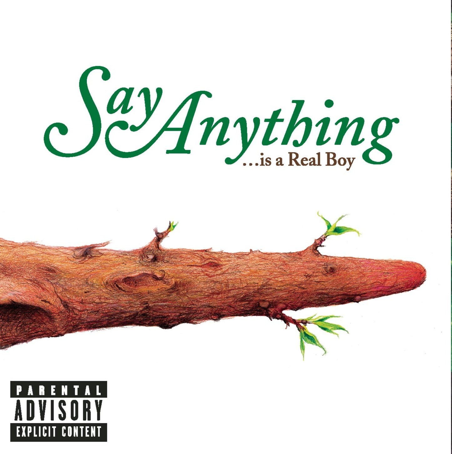 Say Anything/Is A Real Boy [Vinyl LP Record]