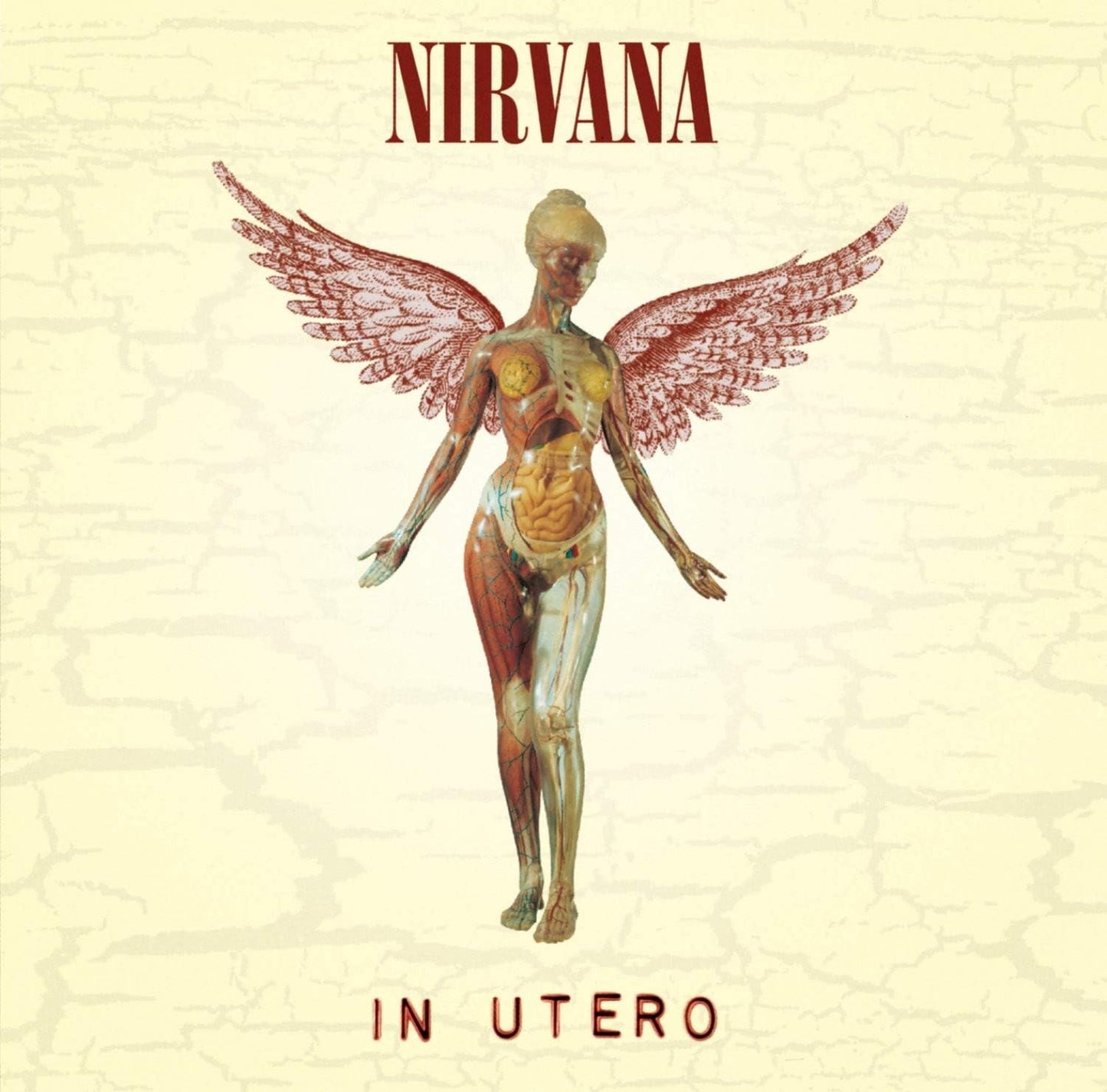 Nirvana/In Utero [LP]