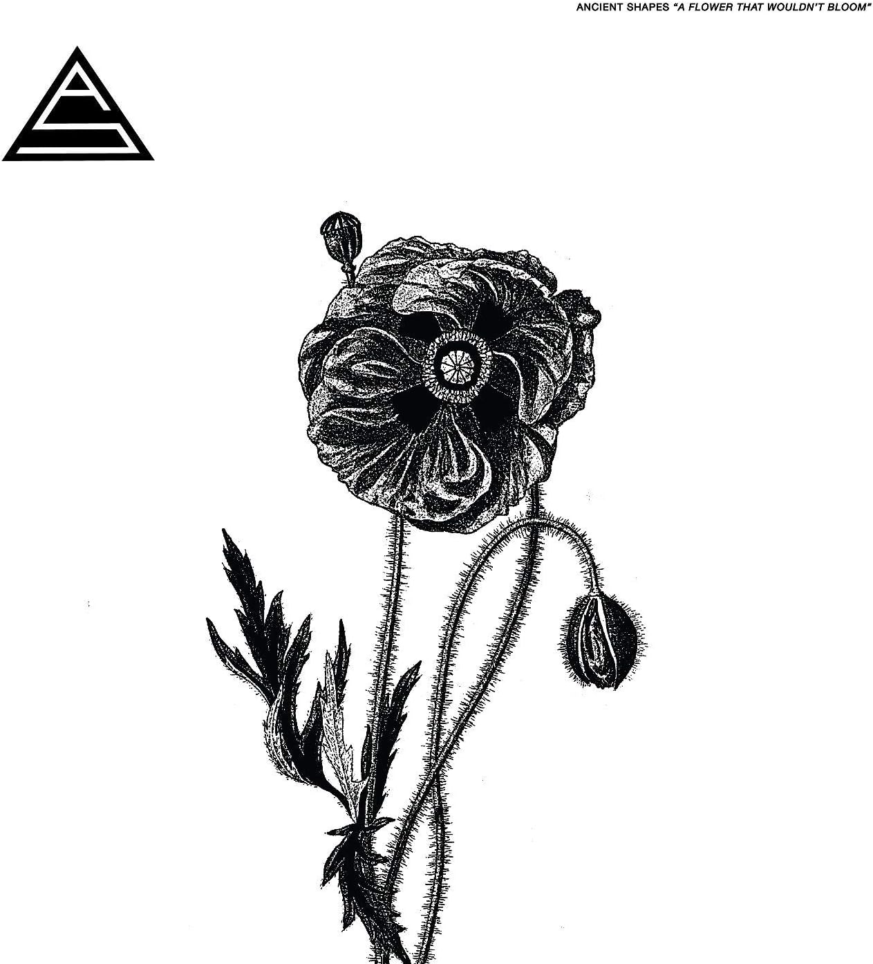 Ancient Shapes/A Flower That Wouldn't Bloom [LP]