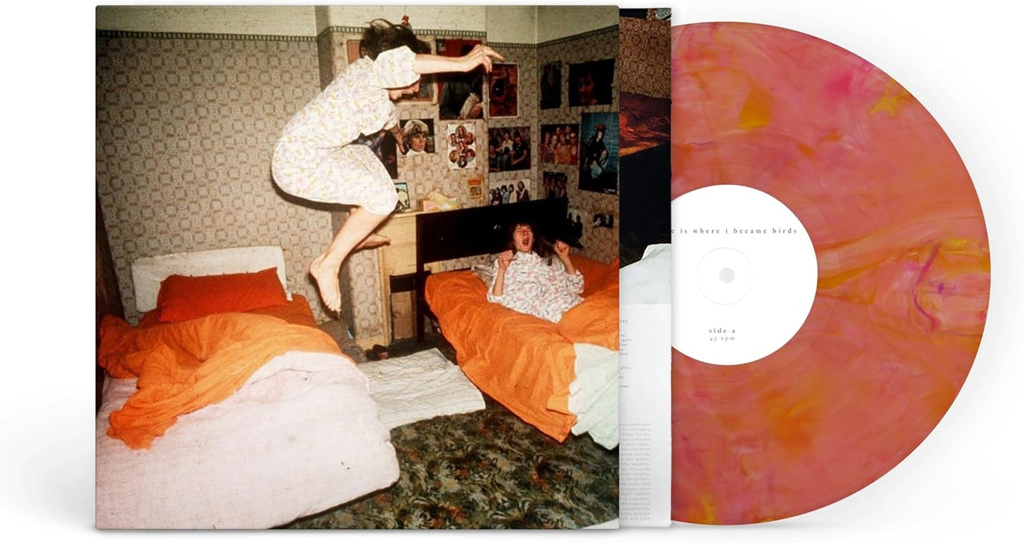 Home Is Where/I Became Birds (Guava Blend Vinyl) [LP]