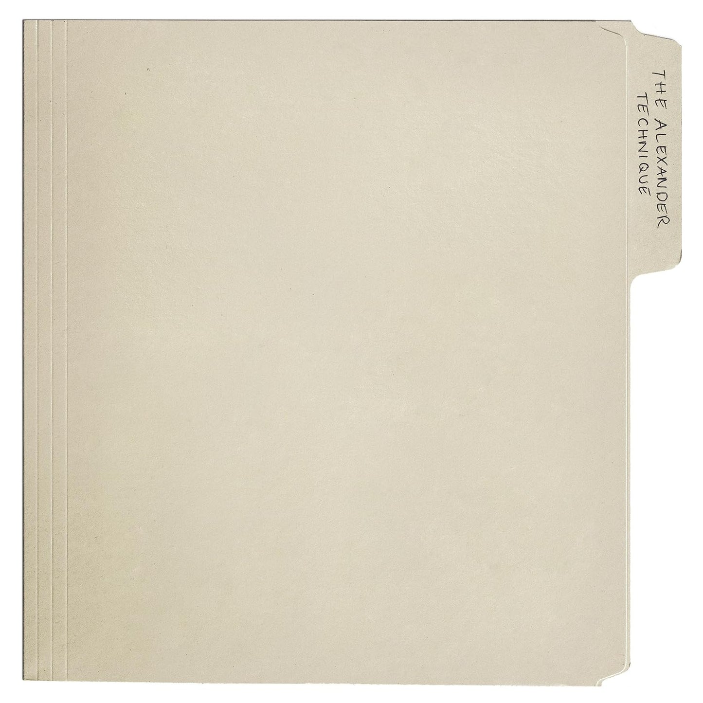 Rex Orange County/The Alexander Technique (Black Vinyl) [LP]