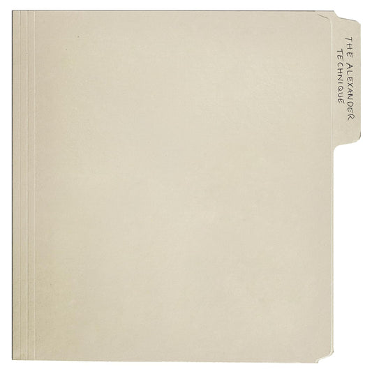 Rex Orange County/The Alexander Technique (Black Vinyl) [LP]