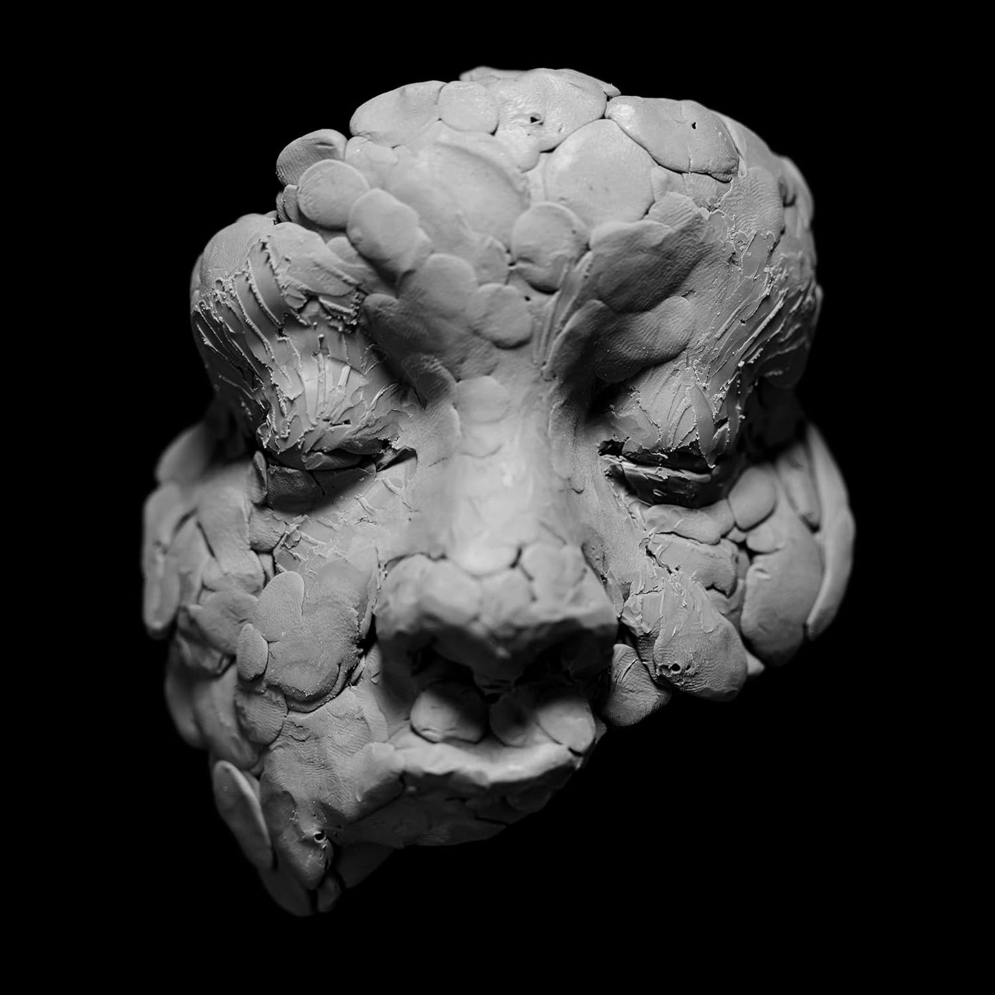 Oladokun, Joy/Observations From A Crowded Room [LP]