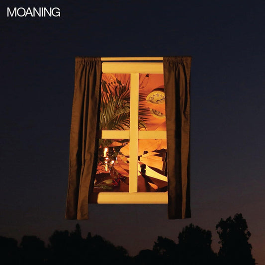 Moaning/Moaning [LP]