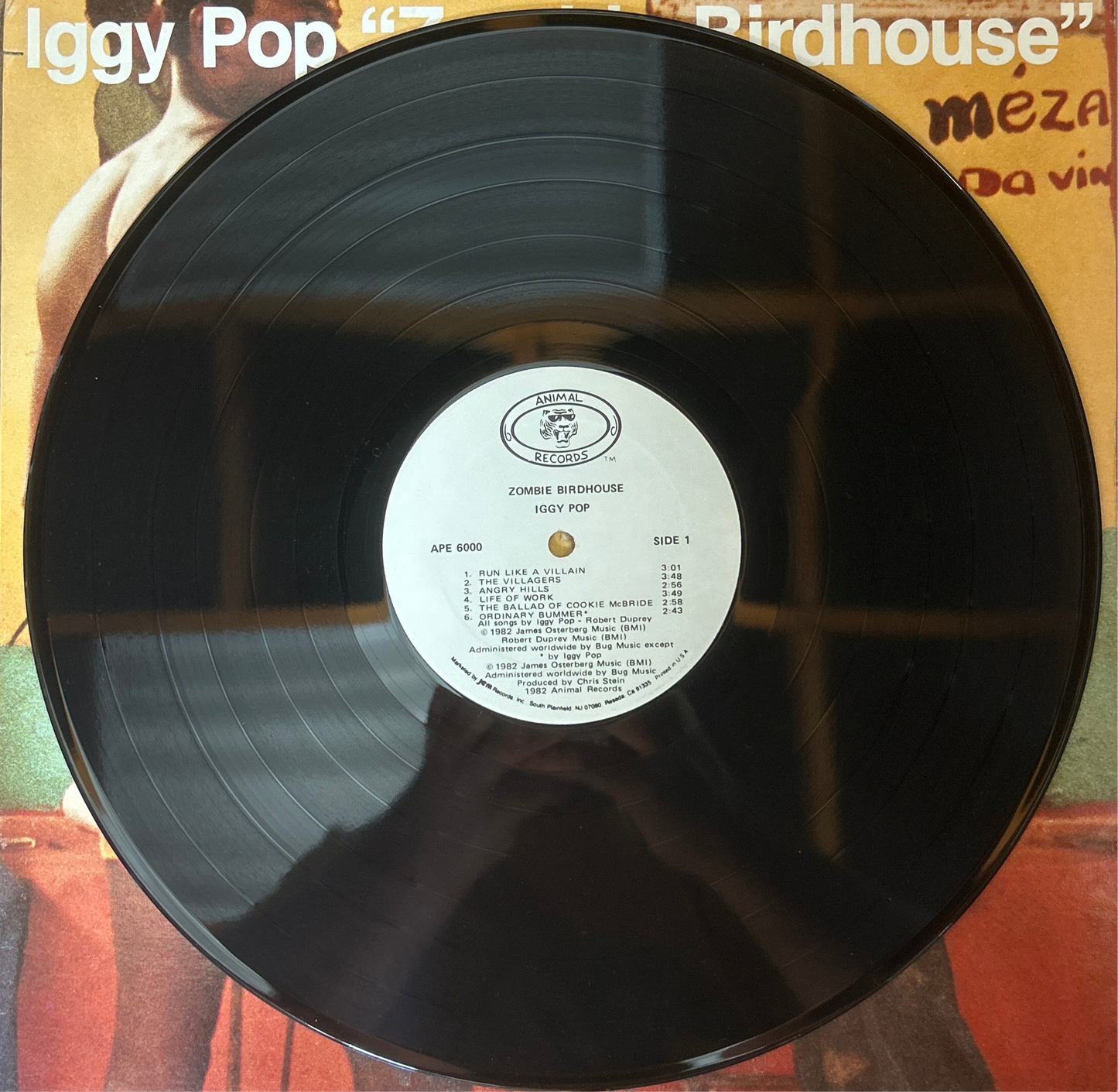 [Used LP] Pop, Iggy / Zombie Birdhouse