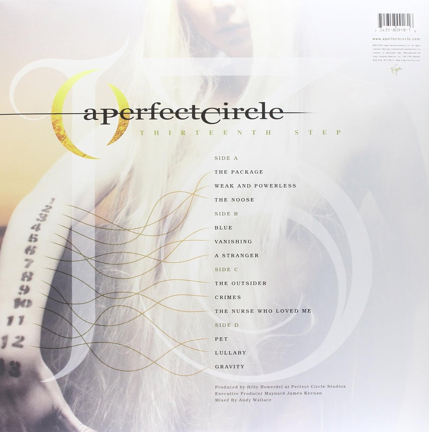 A Perfect Circle/Thirteenth Step [LP]
