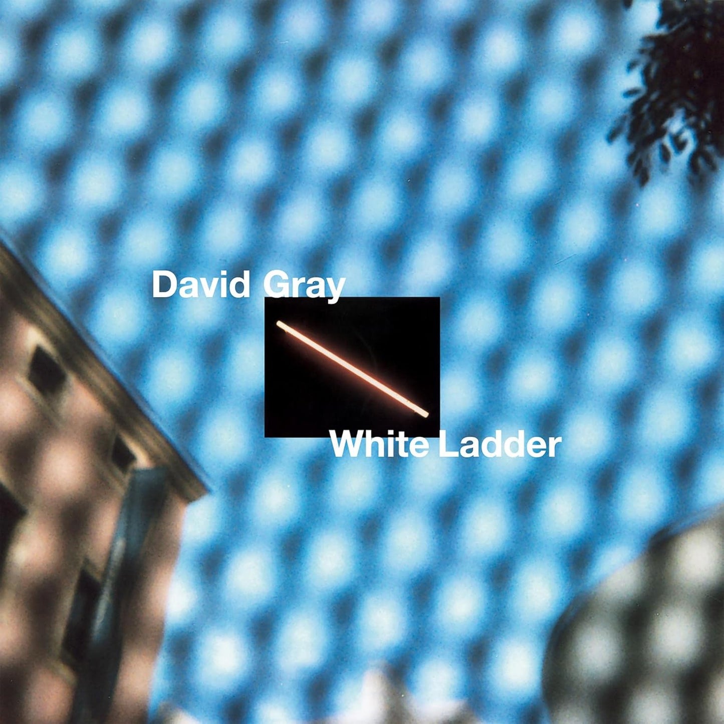 Gray, David/White Ladder [LP]