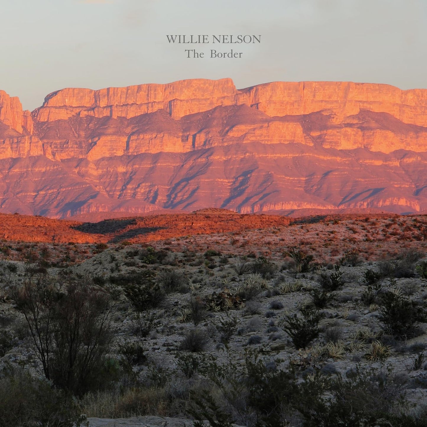 Nelson, Willie/The Border [LP]