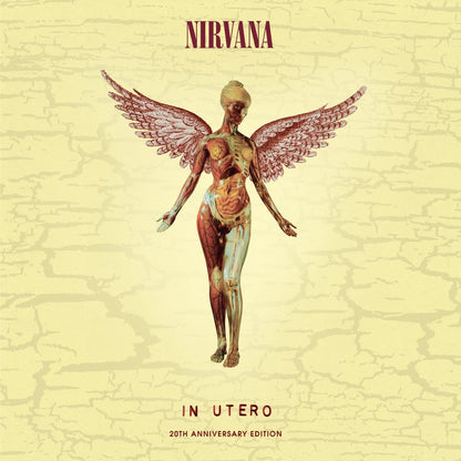 Nirvana/In Utero (20th Anniversary Edition 3LP) [LP]