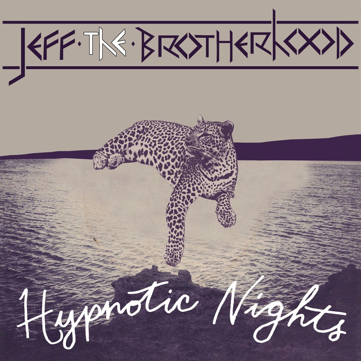 Jeff the Brotherhood/Hypnotic Nights [LP]