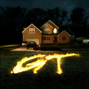 Girl Talk/Feed The Animals (2LP) [LP]