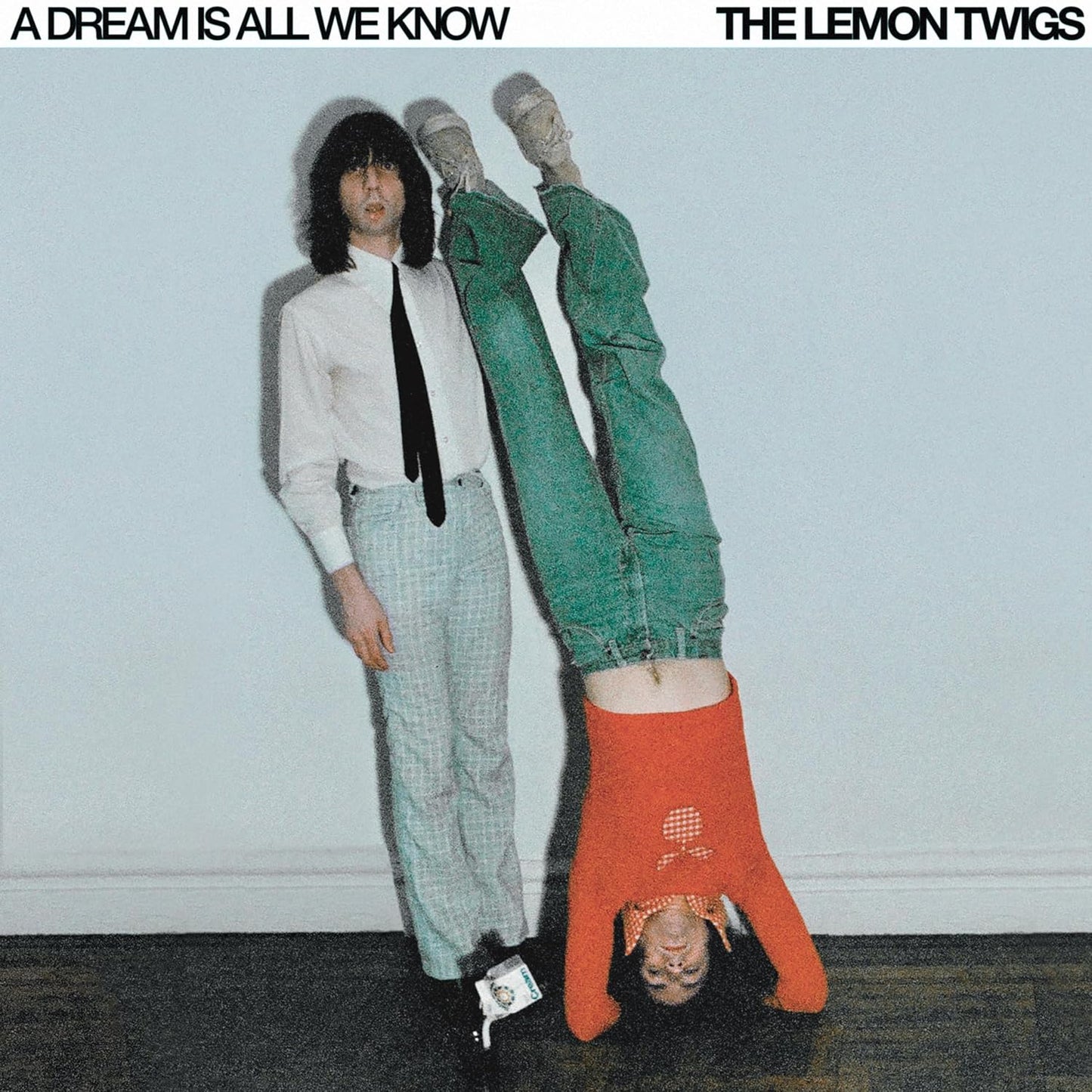 Lemon Twigs/A  Dream Is All We Know (Black Vinyl) [LP]
