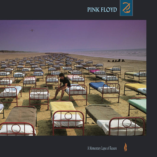 Pink Floyd/A Momentary Lapse of Reason [LP]