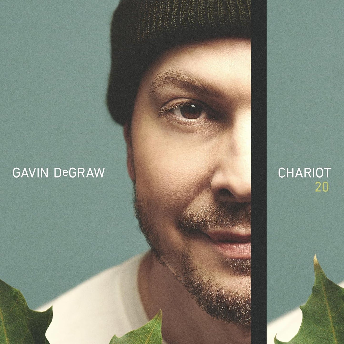 Degraw, Gavin/Chariot 20 [CD]