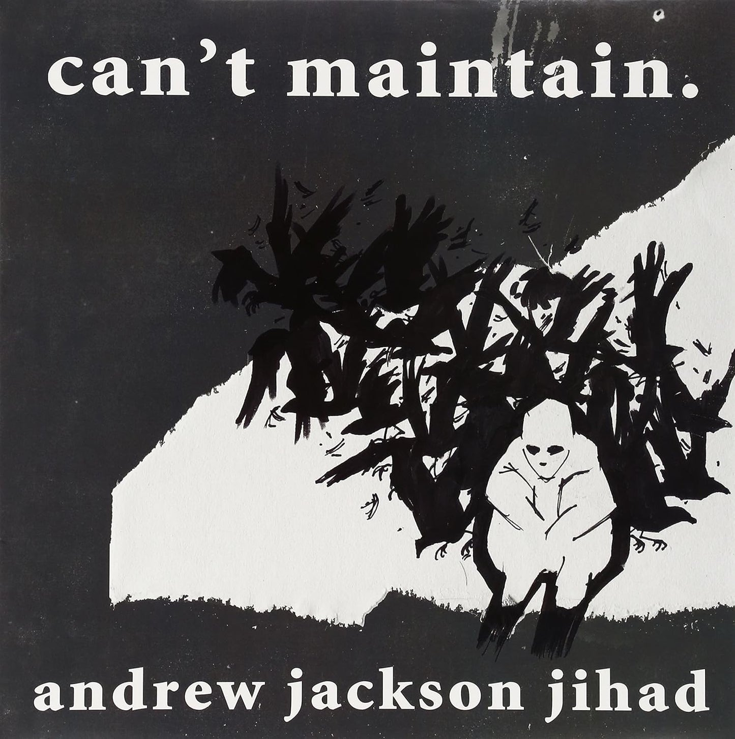 Andrew Jackson Jihad/Can't Maintain [LP]
