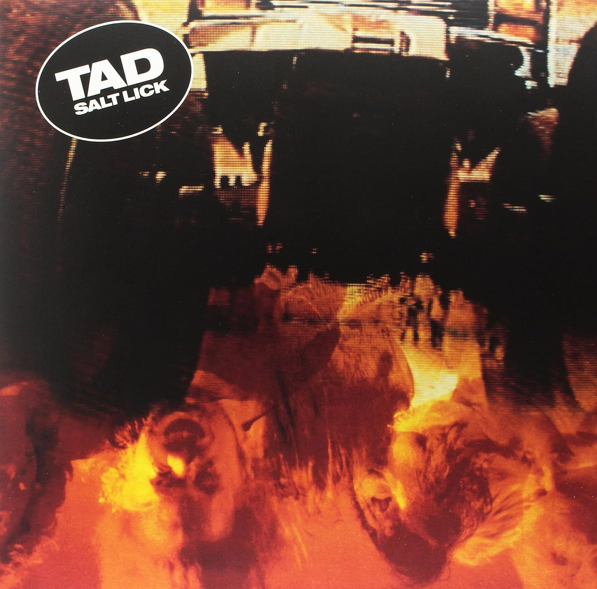 Tad/Salt Lick [LP]