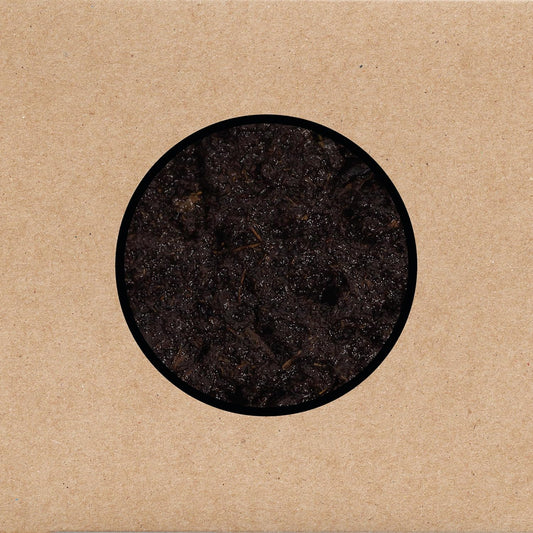 Swans/Birthing (3CD) [CD]