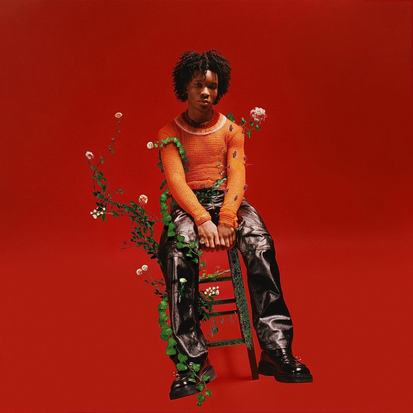 D4vd/Petals To Thorns [LP]