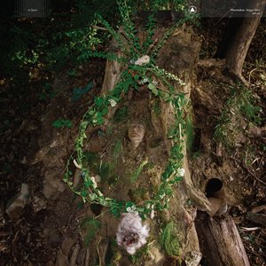Pharmakon/Maggot Mass (Transparent Seaweed Coloured) [LP]