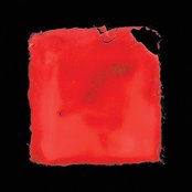 Salvia Palth/Last Chance To See [LP]