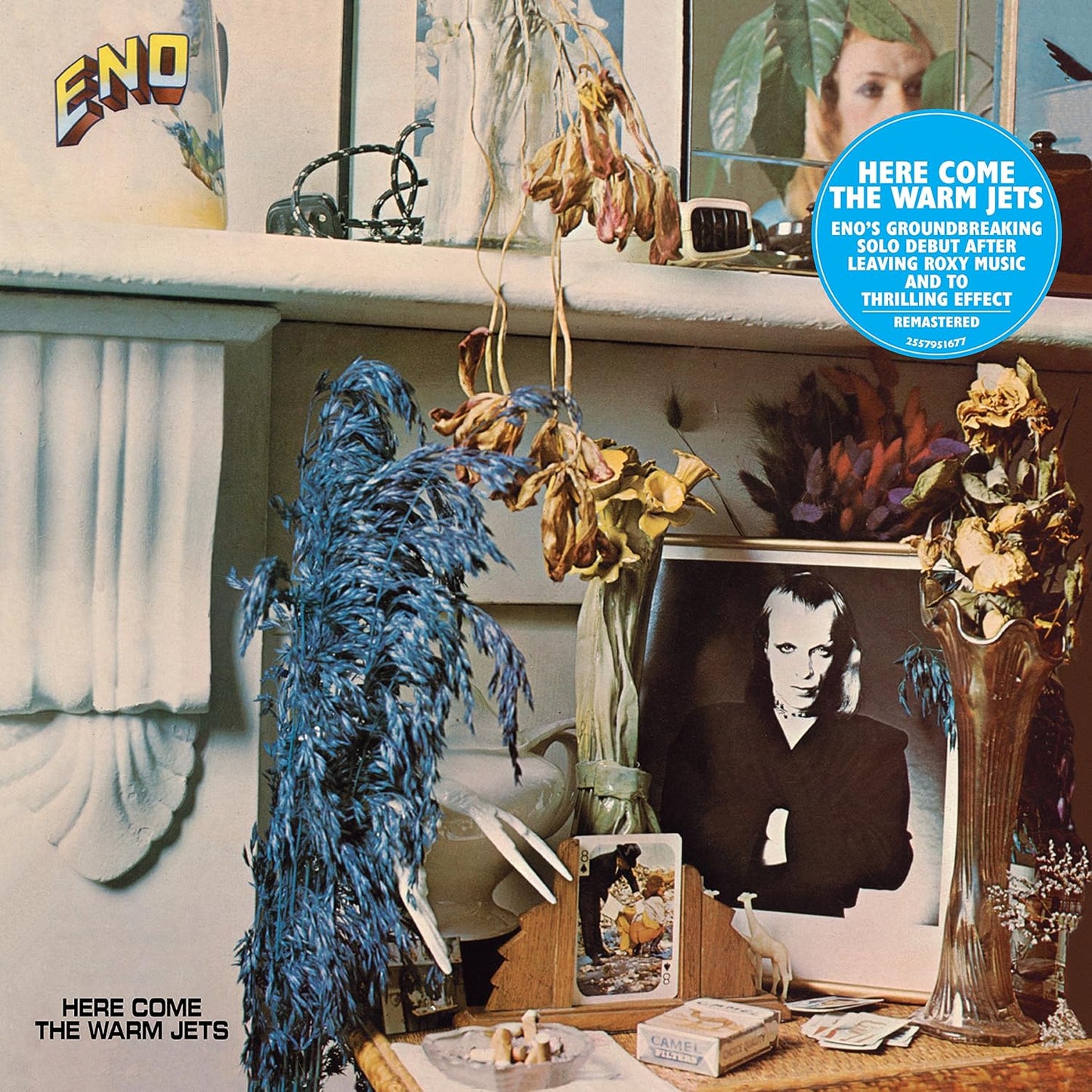 Eno, Brian/Here Come The Warm Jets [LP]